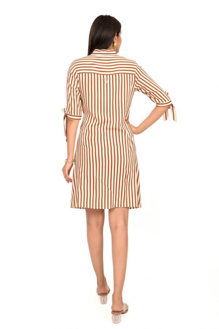 Brown And White Striped Pleated Short Dress